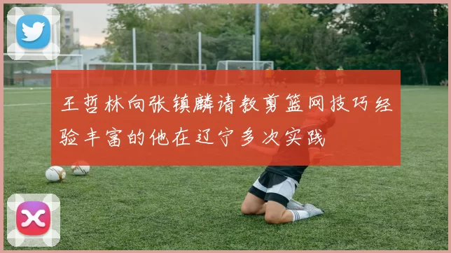 王哲林向张镇麟请教剪篮网技巧经验丰富的他在辽宁多次实践